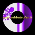 Fiorentina 02